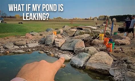 using milk to find leak in pond liner|How To Find A Leak In A Pond Liner Easily